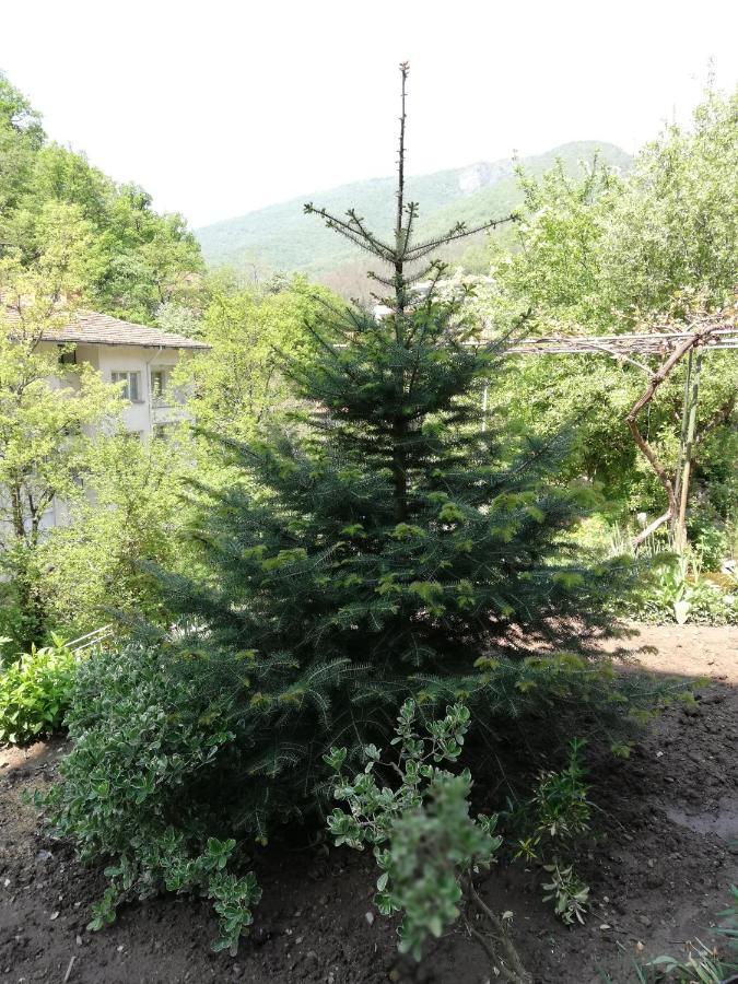 Дом Бакалски-Кмета Narechenski Bani Exterior photo