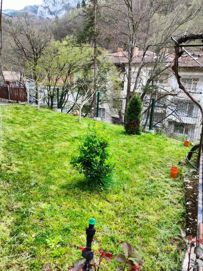 Дом Бакалски-Кмета Narechenski Bani Exterior photo